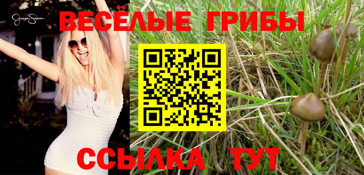 Галлюциногенные грибы GOLDEN TEACHER  наркотики  Тихорецк  Вход с VPN 